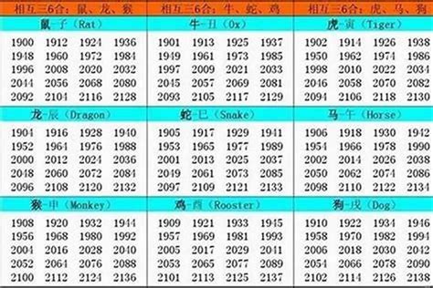 2002五行属什么|2002年属什么生肖 2002年属什么的生肖